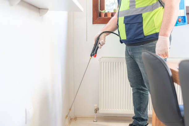 Best Ant Control Services  in Morenci, AZ