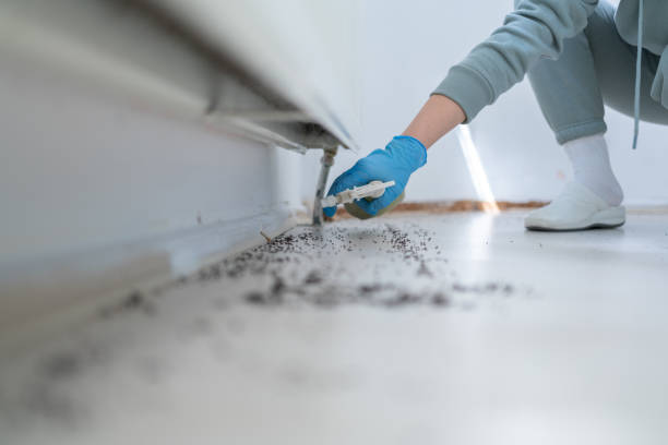 Morenci, AZ Pest Control Company